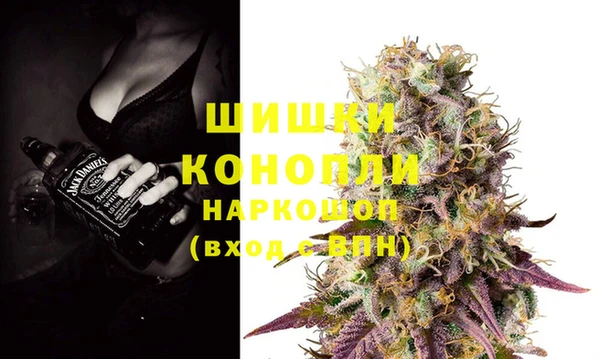 ГАЛЛЮЦИНОГЕННЫЕ ГРИБЫ Баксан