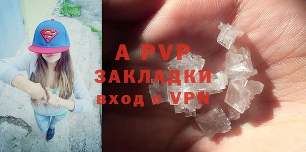 ГАЛЛЮЦИНОГЕННЫЕ ГРИБЫ Баксан