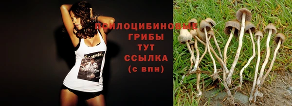 ешки Балабаново