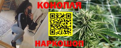 гашик Апрелевка