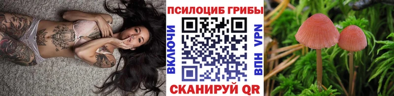 Галлюциногенные грибы GOLDEN TEACHER  где можно купить наркотик  Балахна 