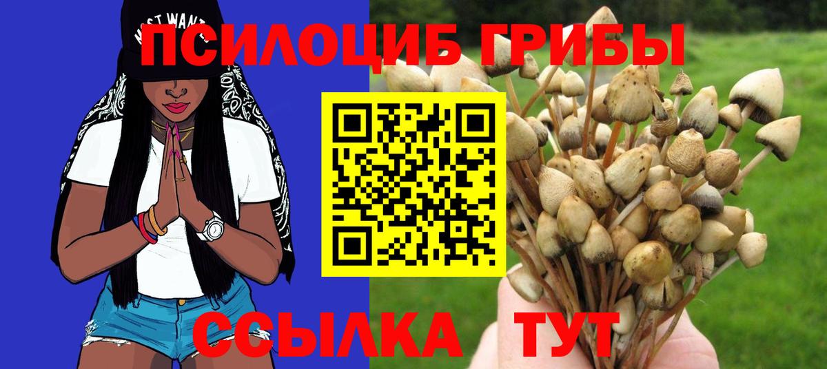 Галлюциногенные грибы Cubensis  Галлюциногенные грибы Magic Shrooms  Балахна  Вход с VPN 